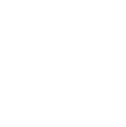 HP® Sprocket Official Licensee
