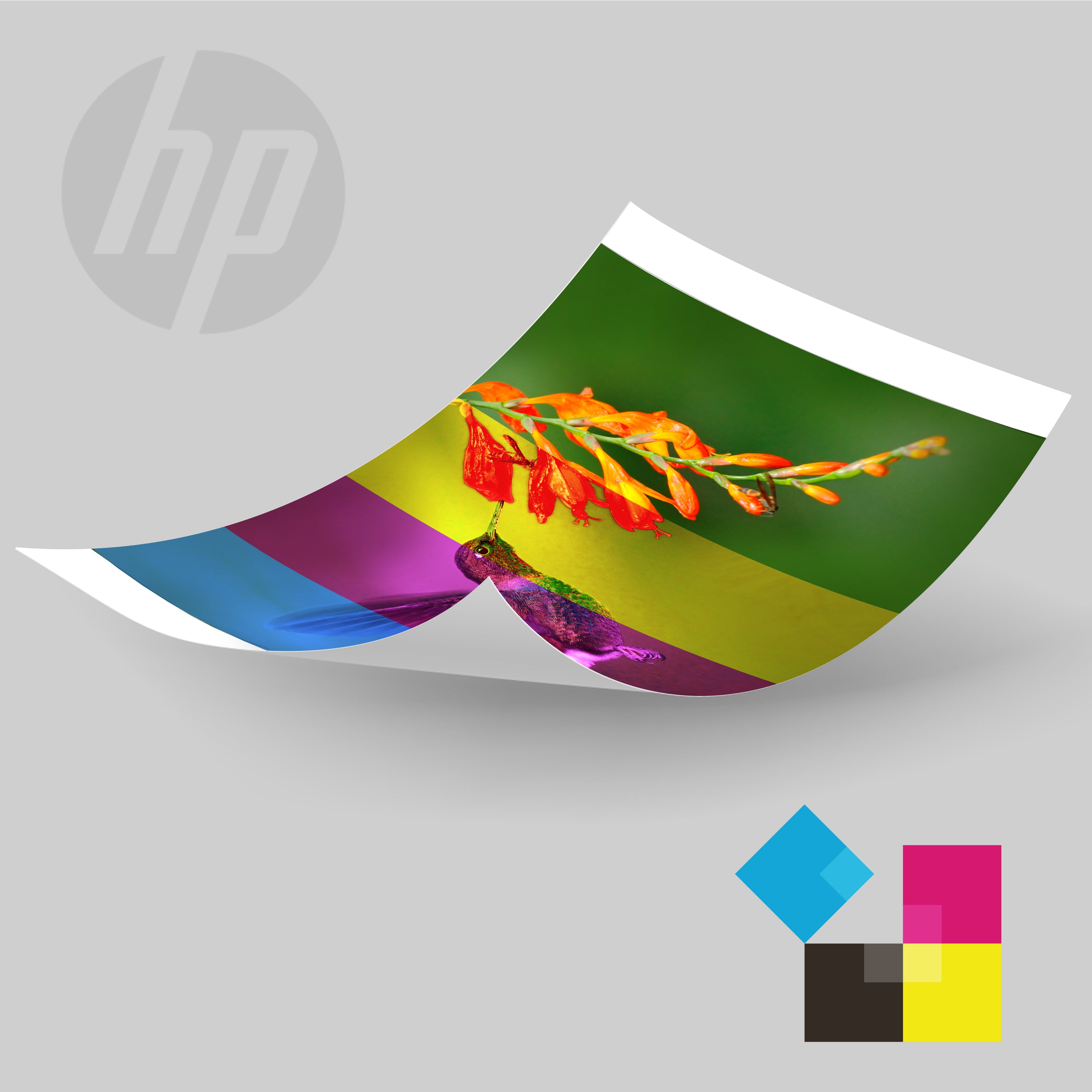 HP Studio Plus 4x6" Photo Paper and (Includes 108 – Sprocket Printers